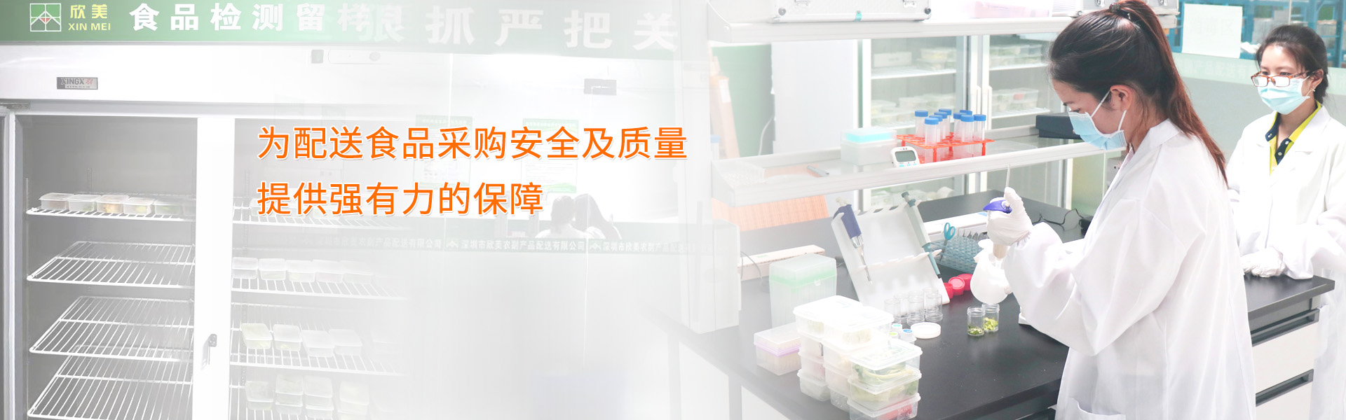 綠色蔬菜，吃出健康來(lái)；新鮮美味，健康放心的專(zhuān)業(yè)蔬菜配送公司